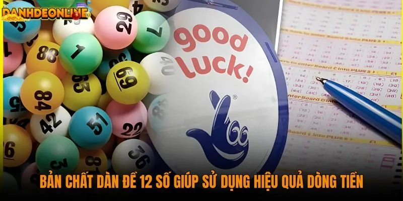 ban-chat-dan-de-12-so-giup-su-dung-hieu-qua-dong-tien