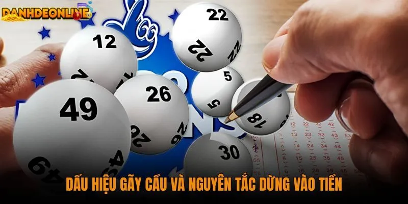 dau-hieu-gay-cau-va-nguyen-tac-dung-vao-tien