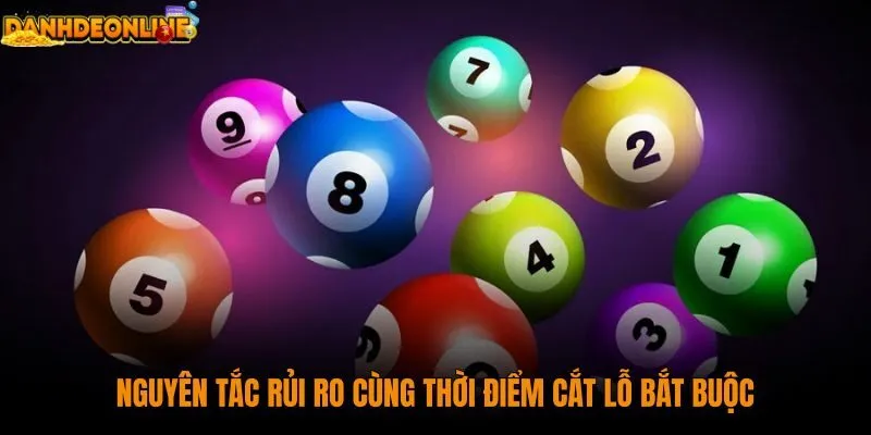 nguyen-tac-rui-ro-cung-thoi-diem-cat-lo-bat-buoc